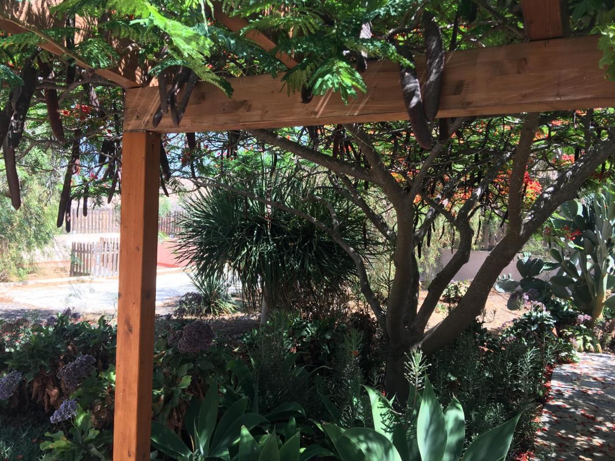 Vereda De Las Camellas Hotel Puerto del Rosario  Eksteriør billede