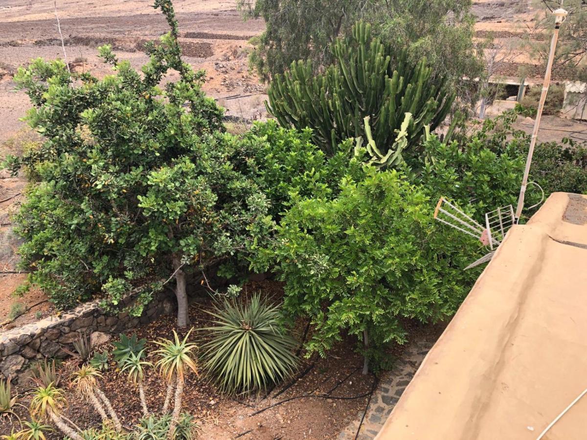 Vereda De Las Camellas Hotel Puerto del Rosario  Eksteriør billede