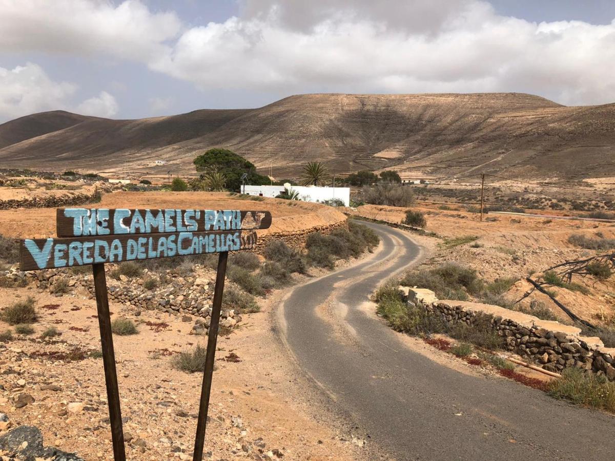 Vereda De Las Camellas Hotel Puerto del Rosario  Eksteriør billede